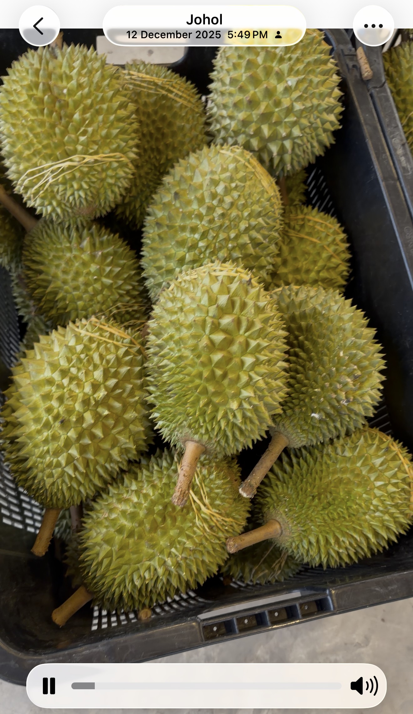 Full crate of harvested durians — Johol farm