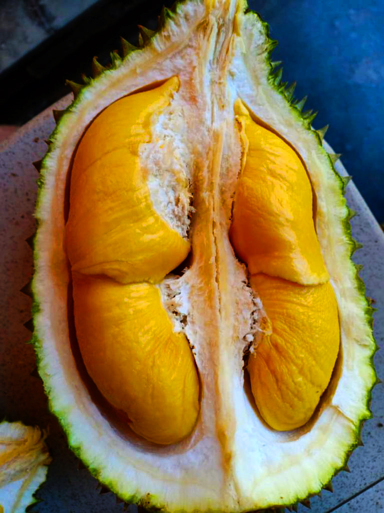 Organic Fertiliser Malaysia: Complete Buyer's Guide 2025